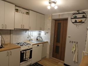 クリニツァ・ズドルイにあるDomek nad Potokiemの白いキャビネットとコンロ付きオーブンを備えたキッチン