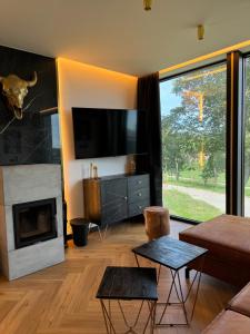 a living room with a fireplace and a tv at STODOLA U Františka in Dolní Bojanovice