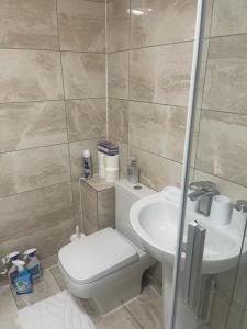 a bathroom with a toilet and a sink at Fijans Cozy Quarters in Milton Keynes +22 photos