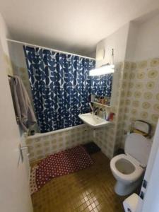 un bagno con un water e un lavandino di Lovely room, 15 min from center, mountain view a Zurigo