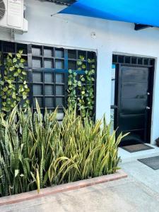 Photo de la galerie de l'établissement Casa amplia en el Espinal,, à Espinal