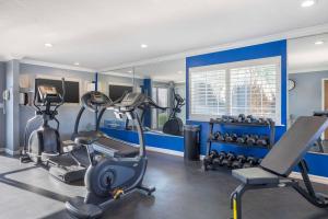 Fitness centrum a/nebo fitness zařízení v ubytování Best Western Anthony/West El Paso