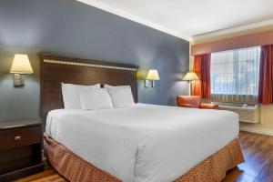 Postel nebo postele na pokoji v ubytování Best Western Anthony/West El Paso