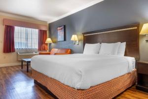 Postel nebo postele na pokoji v ubytování Best Western Anthony/West El Paso