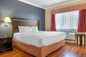 Postel nebo postele na pokoji v ubytování Best Western Anthony/West El Paso