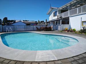a large swimming pool in a yard next to a house at Accommodation Te Puna in Tauranga