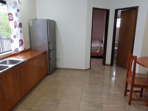 a kitchen with a refrigerator and a sink and a table at Apartamento Hohenau Centro in Hohenau