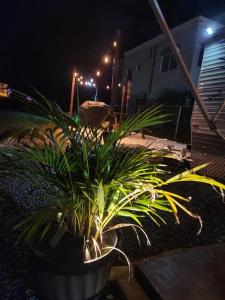 Fotografie z fotogalerie ubytování Villa Venturas v destinaci Cabo Rojo
