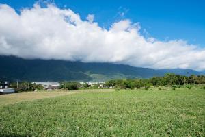 un campo de hierba con una montaña en el fondo en Hualien Travel en Dahan