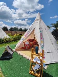 a tent with a bed and a chair in the grass at El Mirador Family Glamping INDIA AMERICANA in Estancia de Itargua