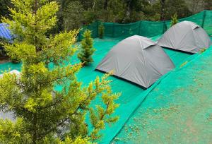 Fotografie z fotogalerie ubytování Rima leisure Resort Suryanelli v destinaci Munnar