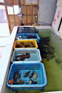小豆岛漁師宿三浦屋秀栄丸的相册照片