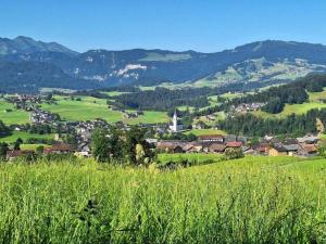 a small town in a green valley with mountains at Winterstaude Comfortable holiday residence in Großdorf +32 photos