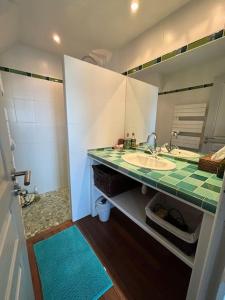 ein Badezimmer mit Waschbecken und Spiegel in der Unterkunft Les Palmiers in Regnéville-sur-Mer + 3 Fotos