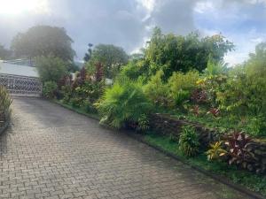 a brick walkway in a garden with plants and trees at Pink Bliss in Avae