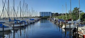 eine Reihe von Booten liegen in einem Yachthafen vor Anker in der Unterkunft Ferienwohnung Fördeblick in Schausende