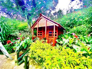 a small house in the middle of a garden at Finca El Remanso La Vega in La Vega +99 photos