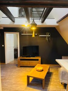 TV a/nebo společenská místnost v ubytování Appartement Cosy de 2 à 4 pers + 6 fotografií