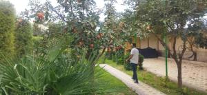 Un jardín fuera de Club Resort Kulob