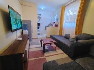 a living room with a couch and a flat screen tv at Marvel Homes-Kivaa,Studio in Mavuria +7 photos
