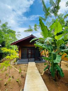 Giardino di Mango Tree House