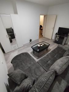 TV a/nebo společenská místnost v ubytování Apartman Gajić