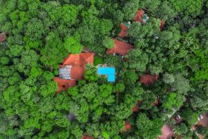 Letecký snímek ubytování Greenwoods Resort, Thekkady