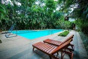 Bazén v ubytování Greenwoods Resort, Thekkady nebo v jeho okolí