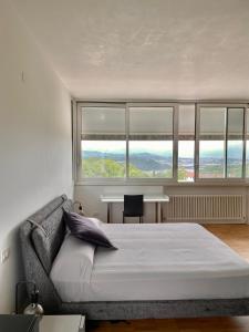 a bedroom with a bed and a couch and windows at Nuovo Progetto A&E in Vicenza