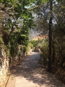 a dirt road with trees on either side at BBQ Lodge in Camogli