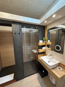a bathroom with a sink and a mirror at Villa Harmony in Koblenz