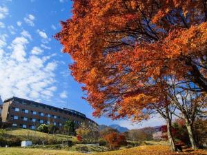a tree with orange leaves in front of a building at South Aso and Relaxing Spa Resort Hotel Greenpia Minamiaso in Aso