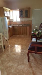Kuchyň nebo kuchyňský kout v ubytování Apartamentos Nuevo Amanecer