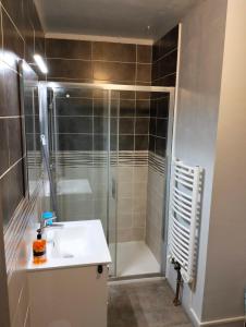 a bathroom with a shower and a sink and a shower at Appartement Vesonne in Vésonne