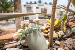 Un jarrón blanco con flores sobre unas rocas. en Casa Alejandro WIFI & POOL & 24H SECURITY, en Arona