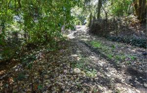 Příroda nedaleko prázdninového domu + 26 fotografií