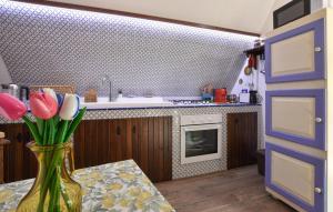 Kuchyň nebo kuchyňský kout v ubytování 3 Bedroom Lovely Home In Trecastagni