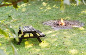 a picnic table and a fire pit in the grass at 3 Bedroom Stunning Home In Skjern in Skjern +22 photos