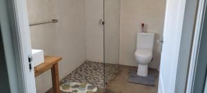 Un baño con inodoro y ducha de cristal. en Frances 10 Unit 2, en Struisbaai 39 fotos más
