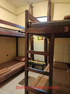 Tempat tidur susun dalam kamar di Chacha Homestay & Dormitory