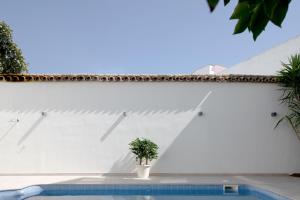a plant in a vase next to a swimming pool at Hotel Infanta Leonor in Écija