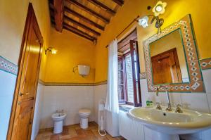 a bathroom with a sink and a mirror and a toilet at Agriturismo La Fattoria in Monte Santa Maria Tiberina +75 photos