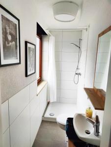 ein Badezimmer mit Dusche, Toilette und Waschbecken in der Unterkunft Stilvolles Apartment für 2 - Schwäbische Alb in Heidenheim