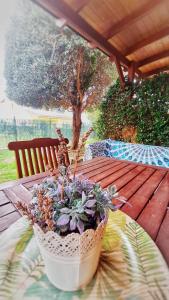 Gallery image of L'Essència de l'Empordà -Girona-COSTA BRAVA in Verges