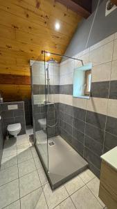a bathroom with a shower and a toilet at Montricher Karellis, 5 min de St Jean de Maurienne in Montricher-Albanne