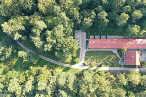 Zdjęcie z galerii obiektu Agroturystyka w Lesie w mieście Dzierzążno