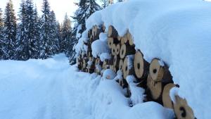 Obiekt Ferienhaus Schäfer - Apartments - Wintersports - Family holiday - Holiday with your dog - Rural & Scenic zimą