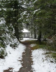 Obiekt Ferienhaus Schäfer - Apartments - Wintersports - Family holiday - Holiday with your dog - Rural & Scenic zimą