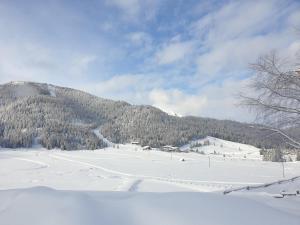 Obiekt Ferienhaus Schäfer - Apartments - Wintersports - Family holiday - Holiday with your dog - Rural & Scenic zimą