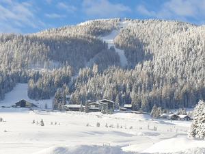 Obiekt Ferienhaus Schäfer - Apartments - Wintersports - Family holiday - Holiday with your dog - Rural & Scenic zimą